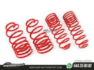 MUELLES DEPORTIVOS MTS TECHNIK MTSXVW283