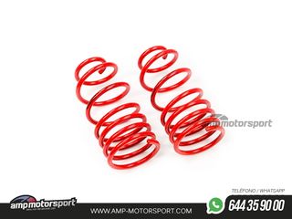 MUELLES DEPORTIVOS MTS TECHNIK MTSXCI036