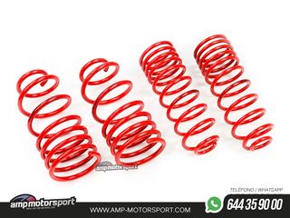 MUELLES DEPORTIVOS MTS TECHNIK MTSXVW313