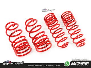 MUELLES DEPORTIVOS MTS TECHNIK MTSXVW348