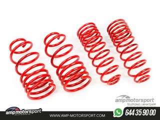 MUELLES DEPORTIVOS MTS TECHNIK MTSXVW383