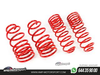 MUELLES DEPORTIVOS MTS TECHNIK MTSXVW443