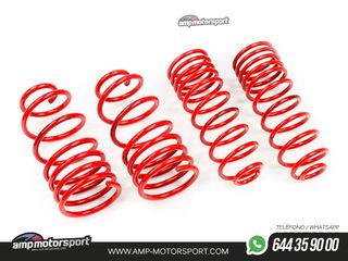 MUELLES DEPORTIVOS MTS TECHNIK MTSXVW448