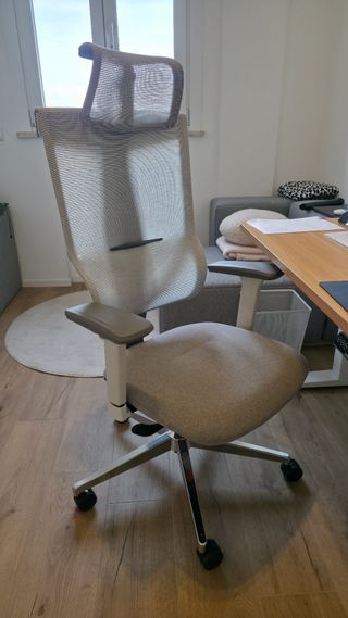 Sedia ufficio ergonomica FlexiSpot BS6