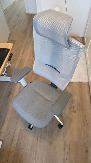 Sedia ufficio ergonomica FlexiSpot BS6