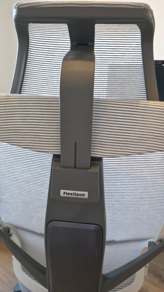 Sedia ufficio ergonomica FlexiSpot BS6