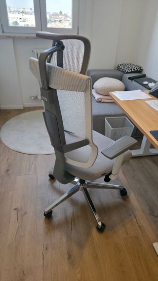 Sedia ufficio ergonomica FlexiSpot BS6