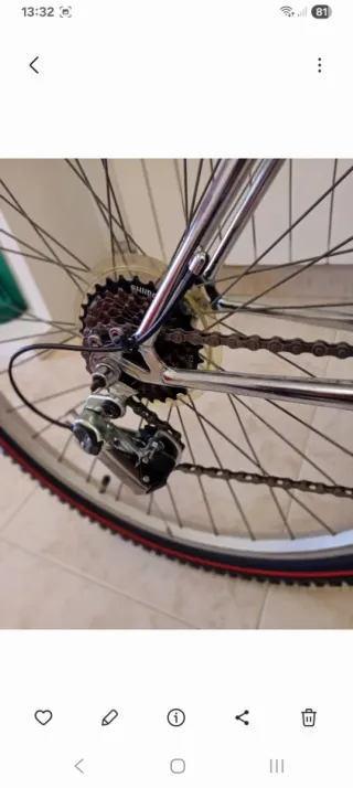 Bicicleta de montaña plateada