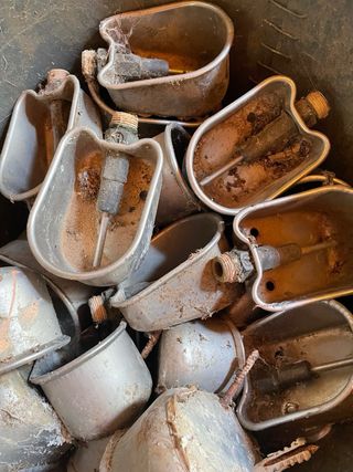 Bebederos para lechones