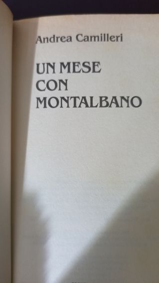 Libro Un mese con Montalbano