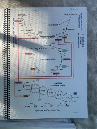 Apuntes Biologia 2 Bachillerato