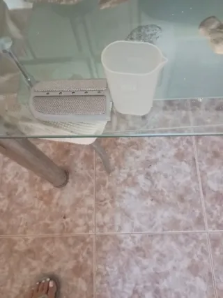 Aspiradora de vapor SANIA