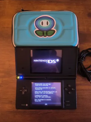 Nintendo DSi + custodia + caricabatterie