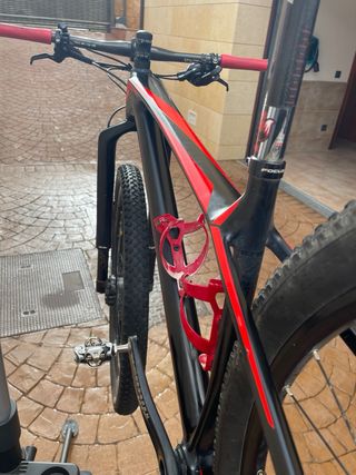Bici MTB 29 Focus Raven