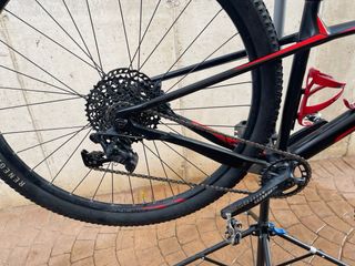 Bici MTB 29 Focus Raven