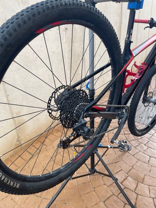 Bici MTB 29 Focus Raven