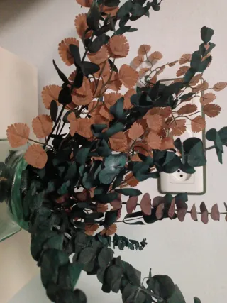 Flores secas verdes y marrones