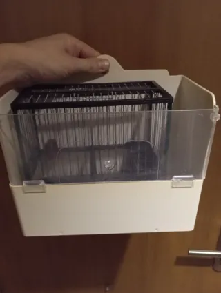 Educadores para aves