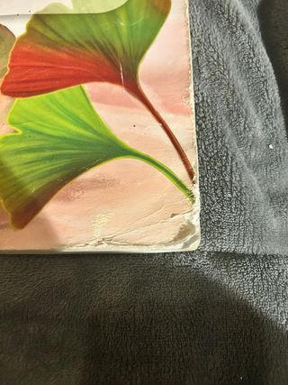 Bioloxía e Xeoloxía 1.º ESO - Galicia