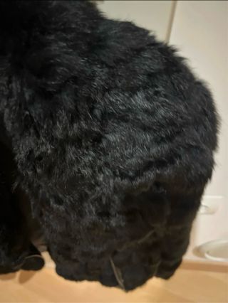 Cazadora piel conejo con bolso y monedero a juego