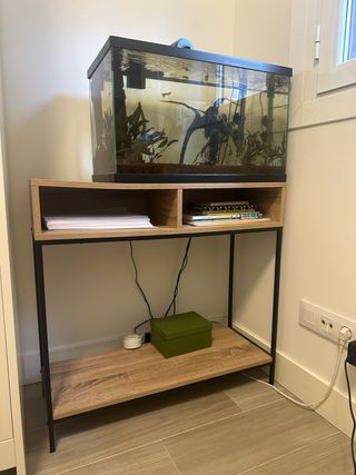 Pecera 60L con filtro y luz