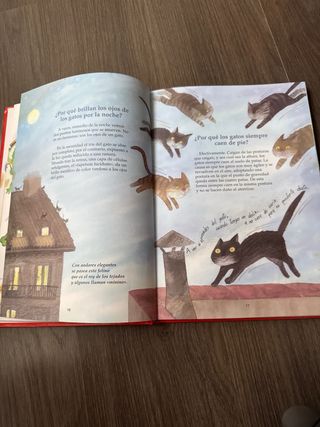 El porqué de las cosas (Adivinanzas, chistes…) ...