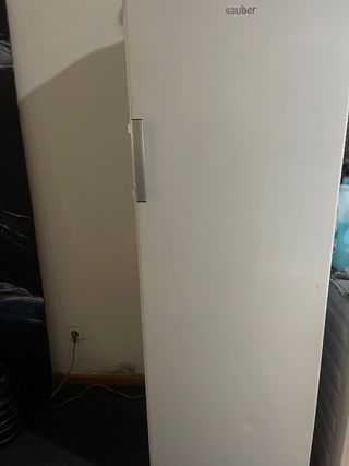 Congelador vertical Sauber