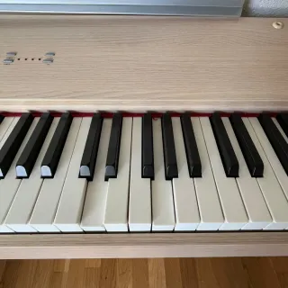 Piano Digital WORLDE W8808D