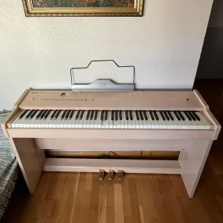 Piano Digital WORLDE W8808D