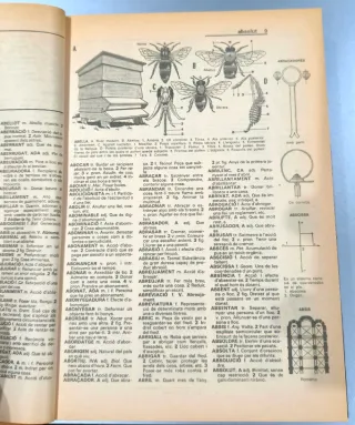 Libro Nostre Diccionari Català