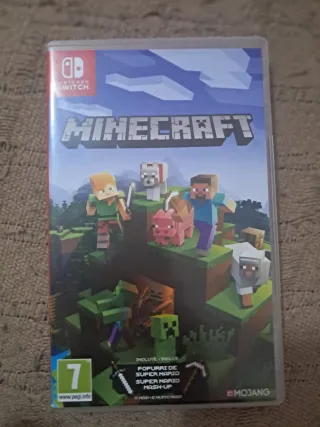 Minecraft Nintendo Switch