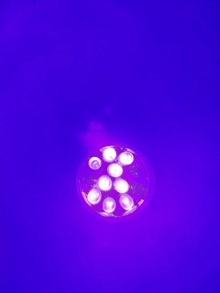 Torcia lampada LED UV tattica pesca caccia