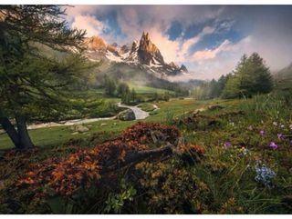 Puzzle Ravensburger 1000 piezas