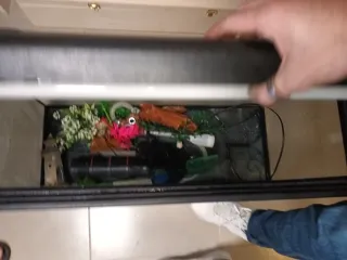 Pecera con accesorios