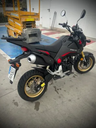 Honda MSX 125cc 2015 - 3000km honda grom, monkey.