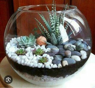 Terrario de cristal para mini jardín