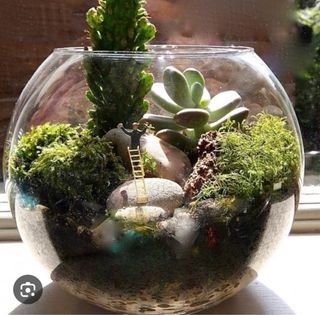 Terrario de cristal para mini jardín