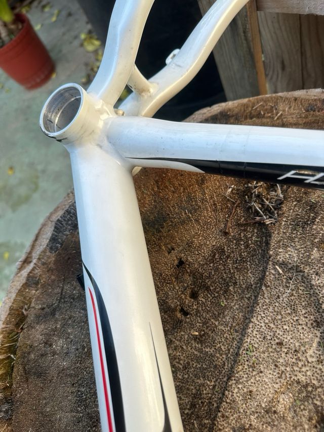 Cuadro BH Zenith Blanco