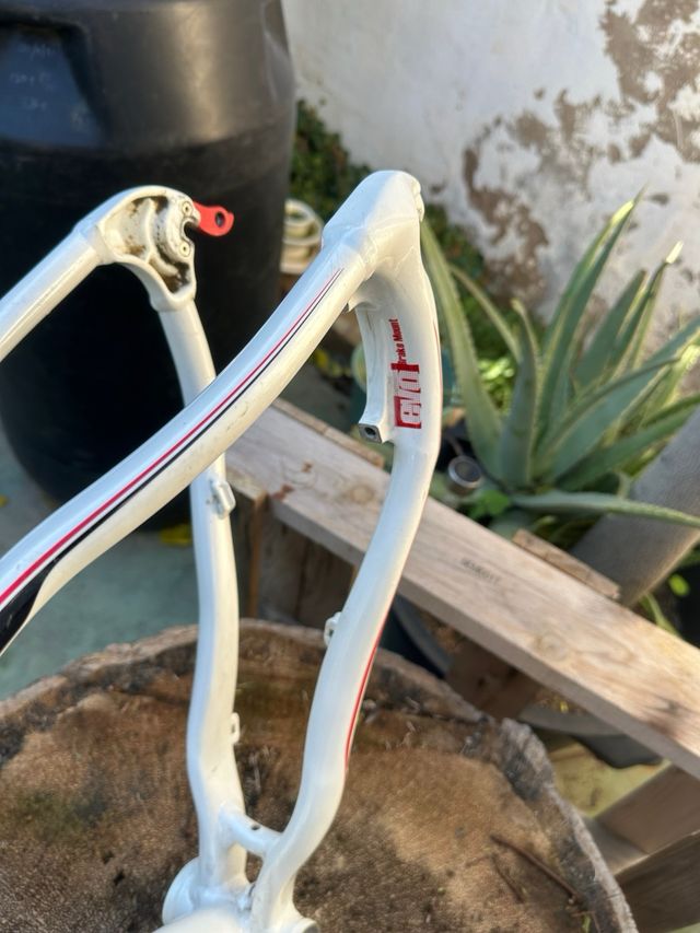 Cuadro BH Zenith Blanco