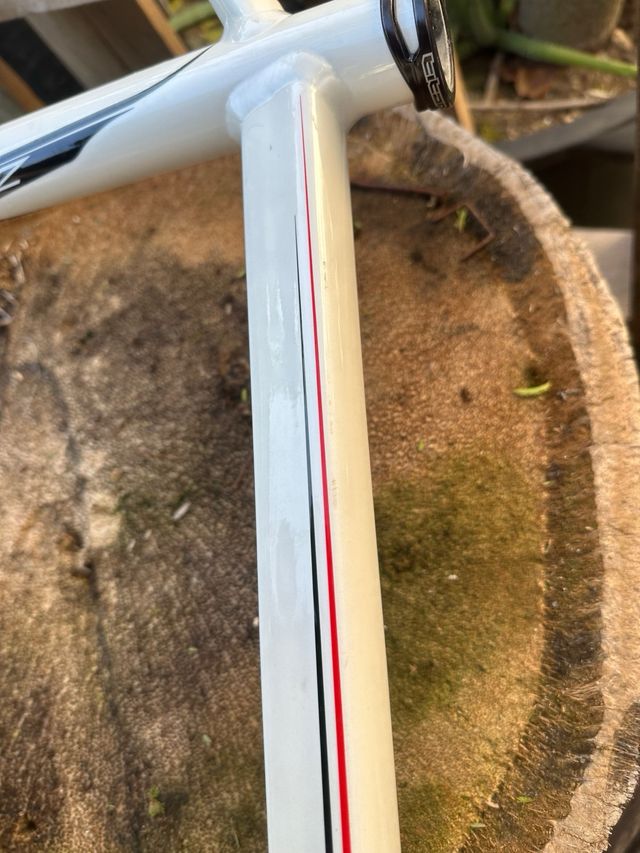 Cuadro BH Zenith Blanco