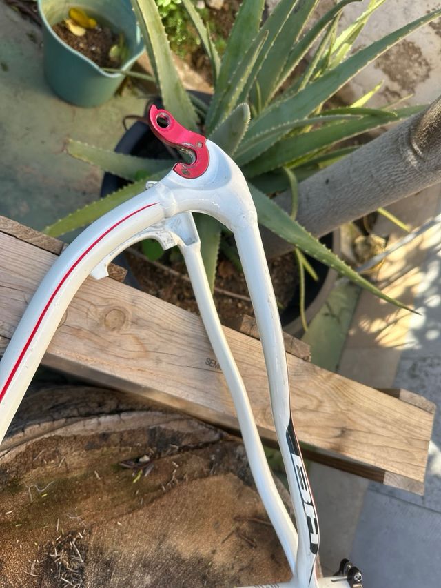 Cuadro BH Zenith Blanco