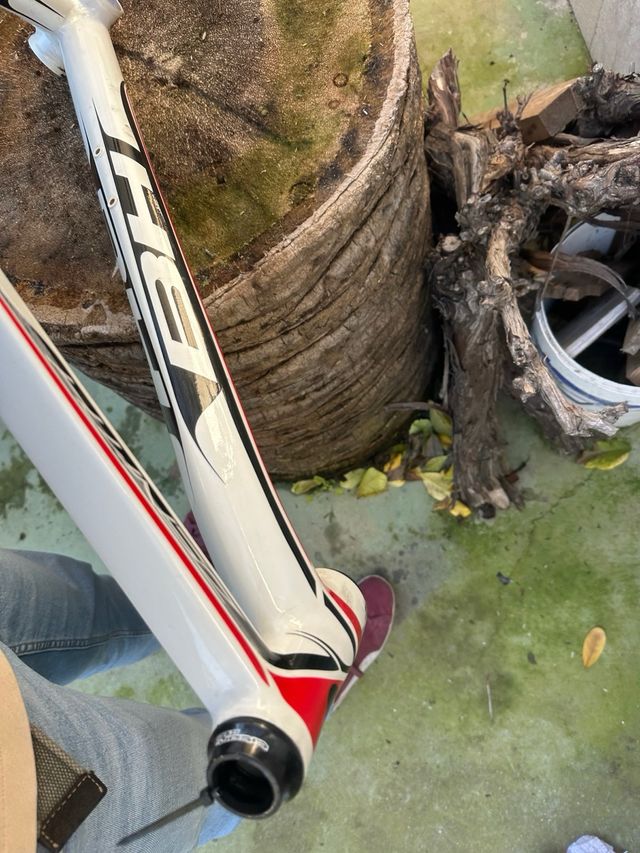 Cuadro BH Zenith Blanco