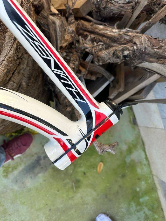 Cuadro BH Zenith Blanco