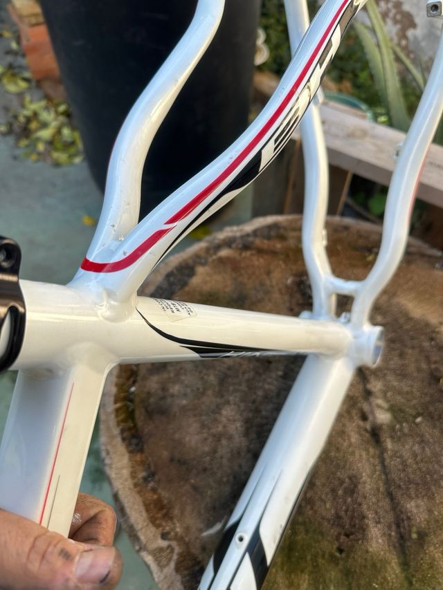 Cuadro BH Zenith Blanco