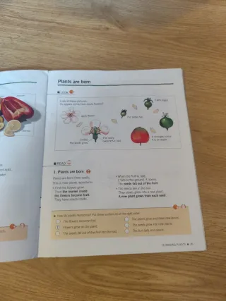 ESSENTIAL SCIENCE 3 PRIMARY RICHMOND