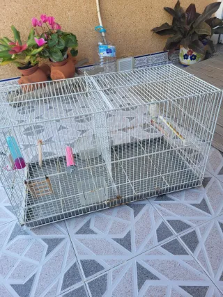 Jaula para pájaros blanca