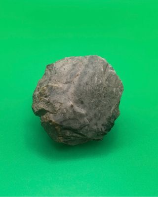 Herramientas de piedras Paleolíticas