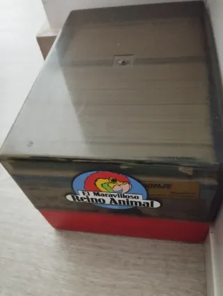 El maravilloso reino animal