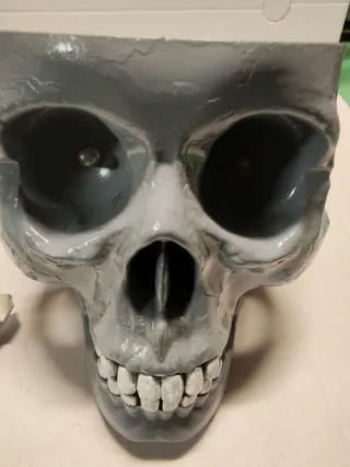 Teschio Luminoso Rosso