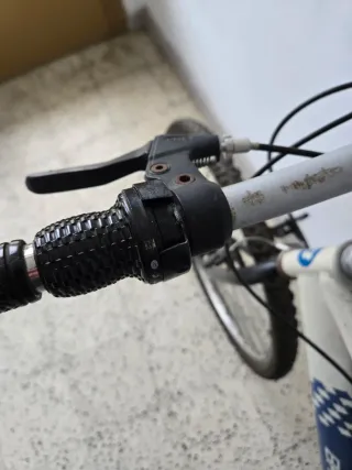 Dos bicicletas, mira las fotos